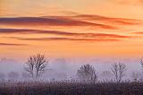 Sunrise Fog_22264